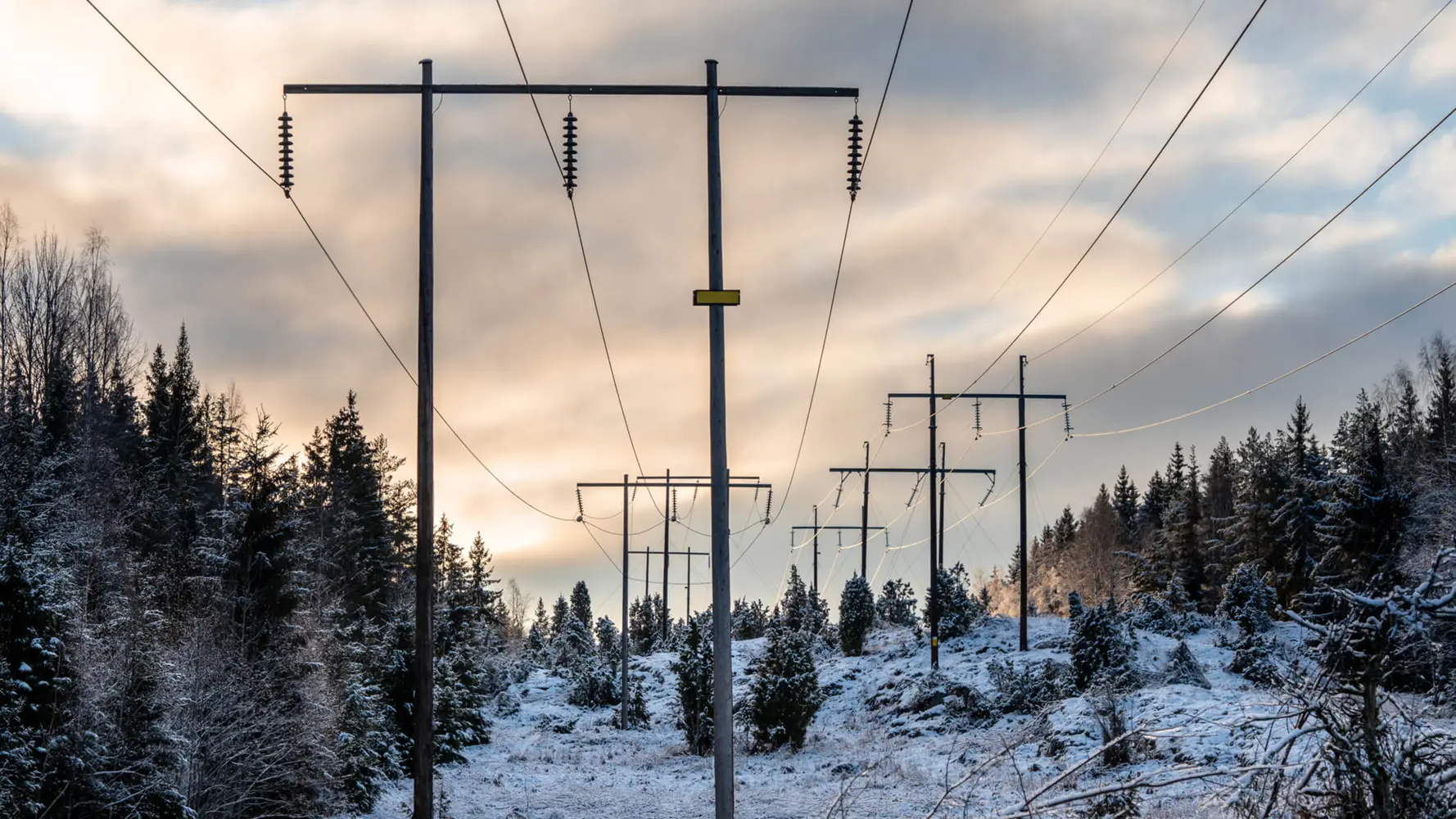 Excerpts from the course